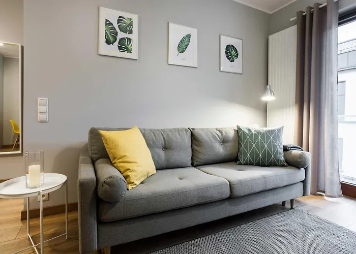 Unic Dominikanska بوزنان